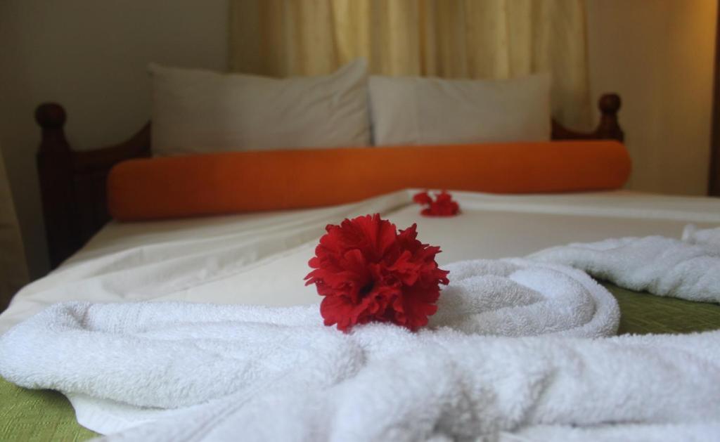 La Fontaine Holiday Apartment ベル・オンブレ 部屋 写真